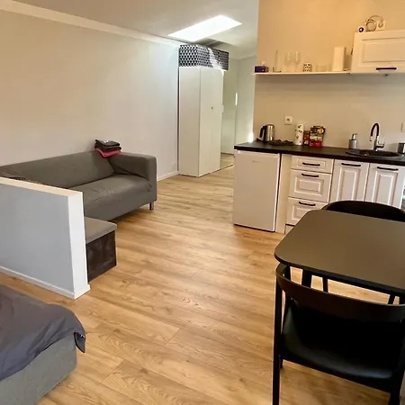 Old Town Quiet Rooftop 公寓 里加